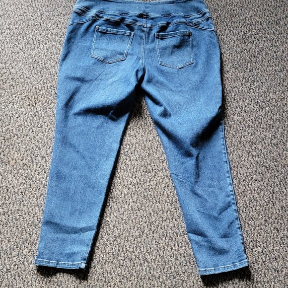 DG2 by Diane Gilman Light Wash Stretch Jeggings Size 1X - Picture 11 of 13